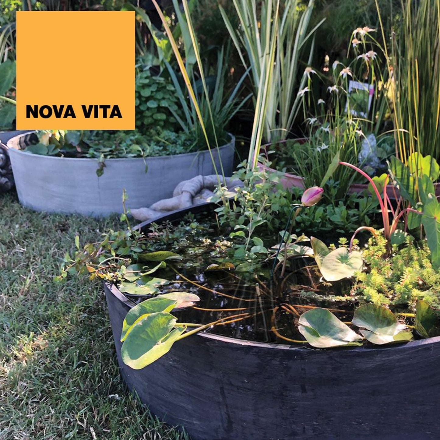 Maceta En Polipropileno En Color Terracota Ø 820mm H 220mm