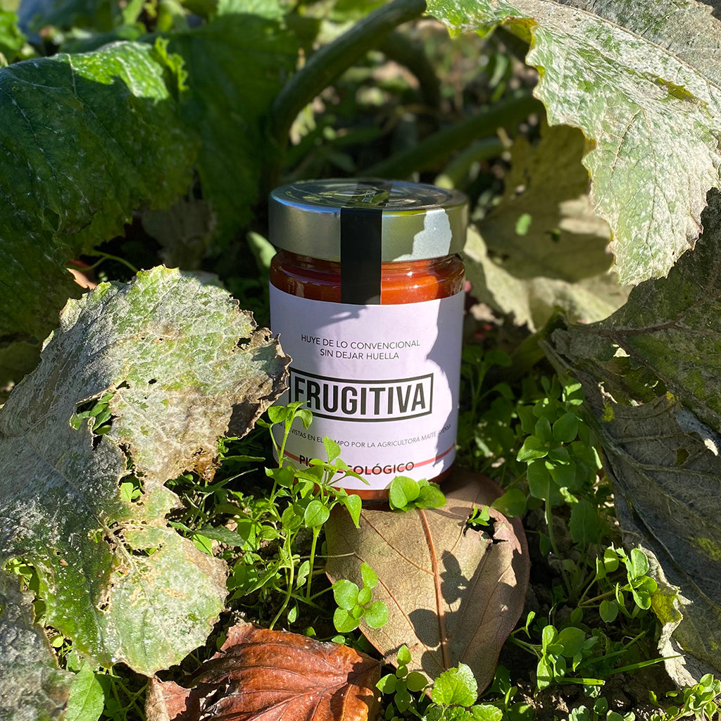 Pisto Ecológico 290g._5