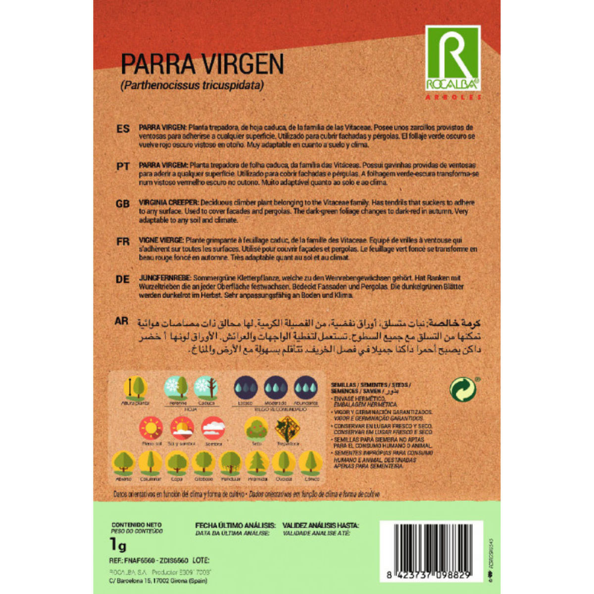 Sementes de trepadeira-virgínia Parthenocissus tricuspidat