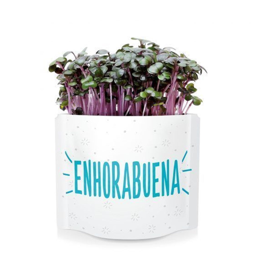 Postais de sementes verdes "Parabéns" Garden Pocket