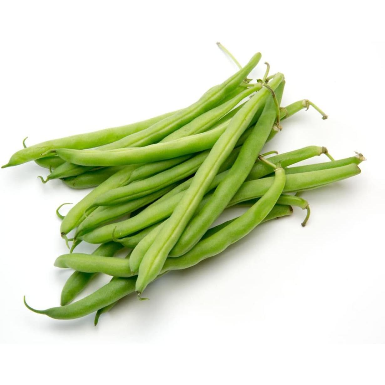 Mudas de feijão Parker, Low Mata, 6 unidades, alcance tradicional