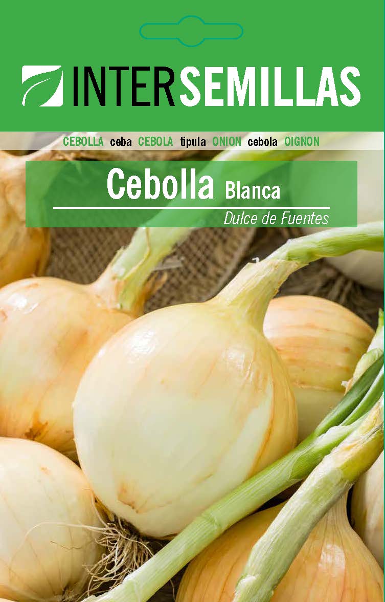 Sobre De Semillas De Cebolla Blanca Dulce Fuentes_0