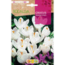 Bulbo de açafrão Jeanne D'Arc branco e lilás 10 unidades Rocalba
