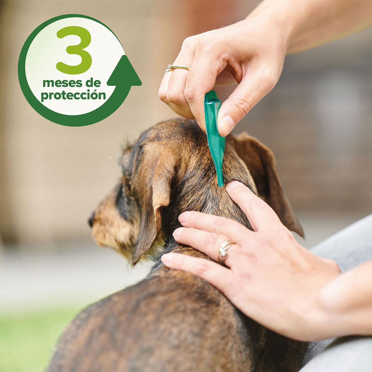 Pipetas repelentes antiparasitárias naturais para cães de porte médio, 3 x 2 ml