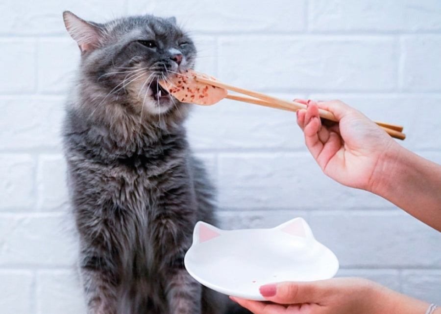 Kit Gato FilletFresh - Atum e Peixe Fumado 30g Petisco natural para gatos