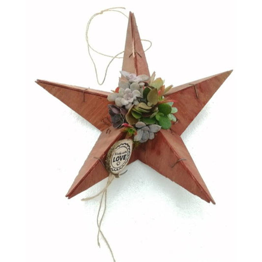 Composição das suculentas estrela