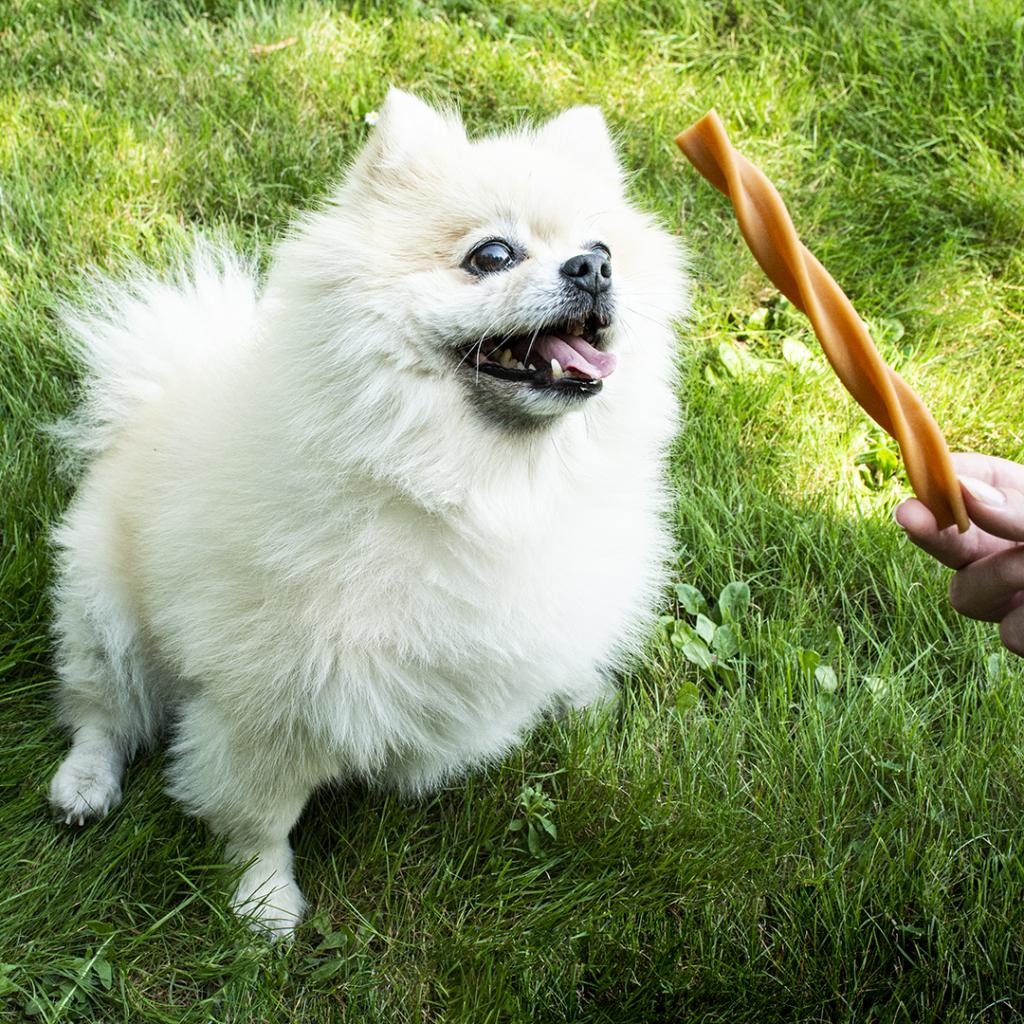 Garden Bites Fruity Dental Swirls Snack dentário para cães S 30 unidades Duvo