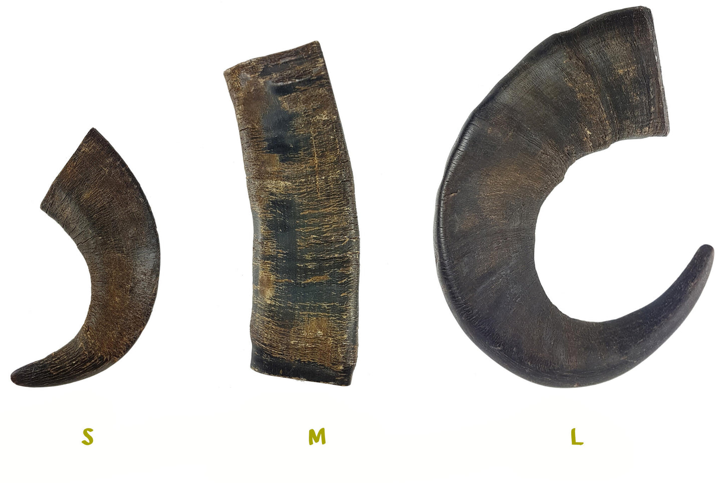 Bimordiscos Cuerno De Búfalo Para Perros. M_3