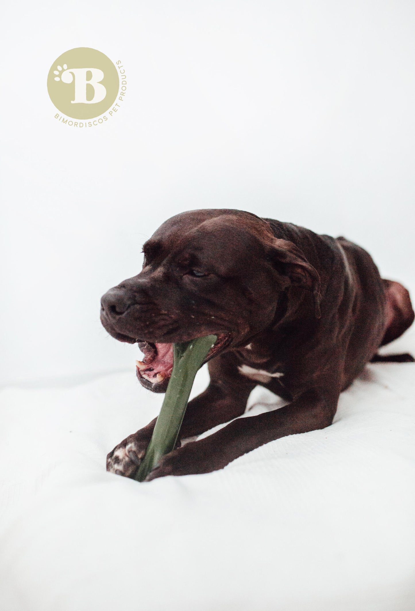 Bimordiscos Juguete Indestructible Para Perros · Hueso Para Perros. L_2