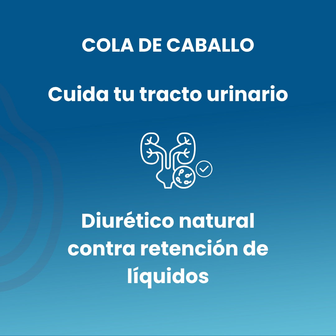 Cola Caballo Sotya 100 Comp