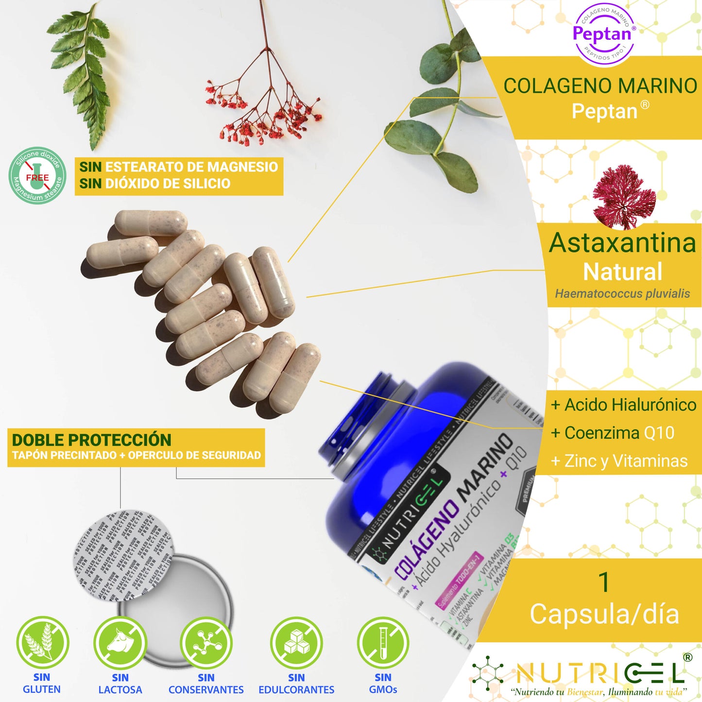 Colágeno Marino Peptan® Con Acido Hialurónico, Q10 Y Astaxantina_4