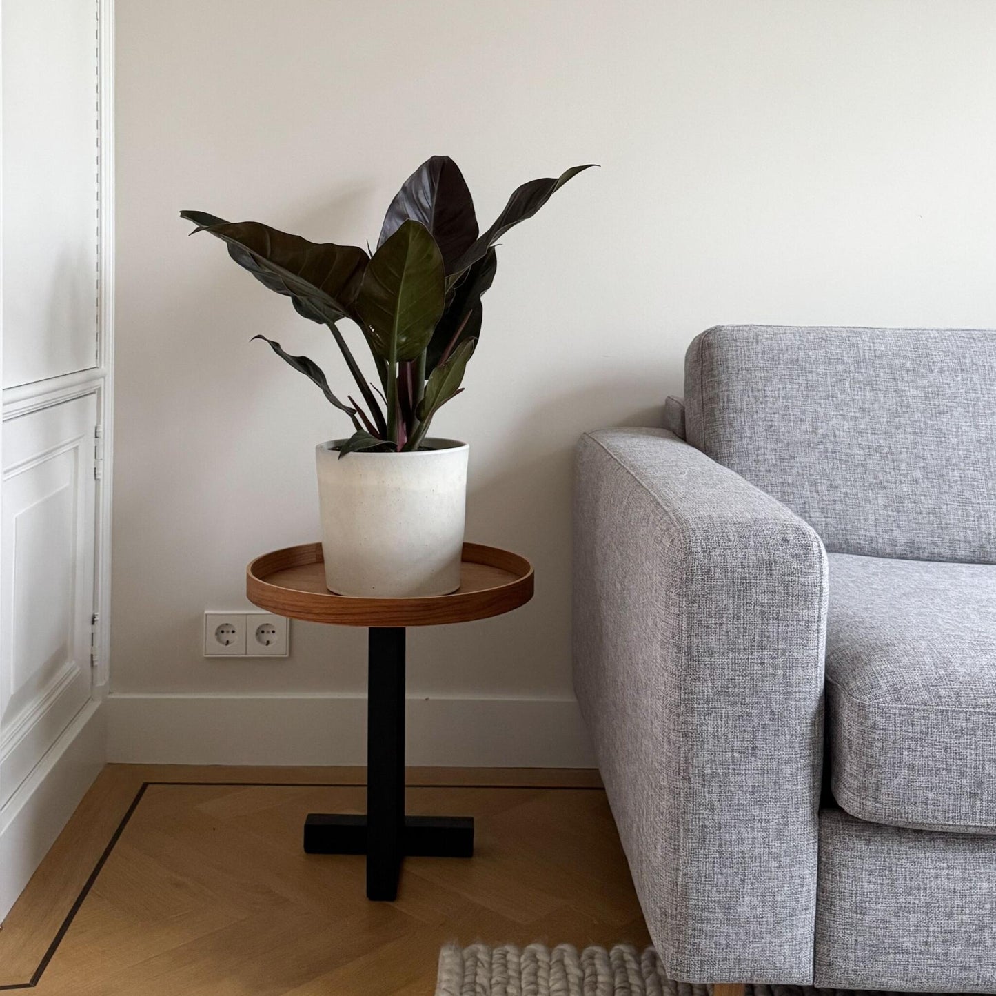 Filodendro - Philodendron 'imperial Red' - Altura 50cm - ⌀19cm_4