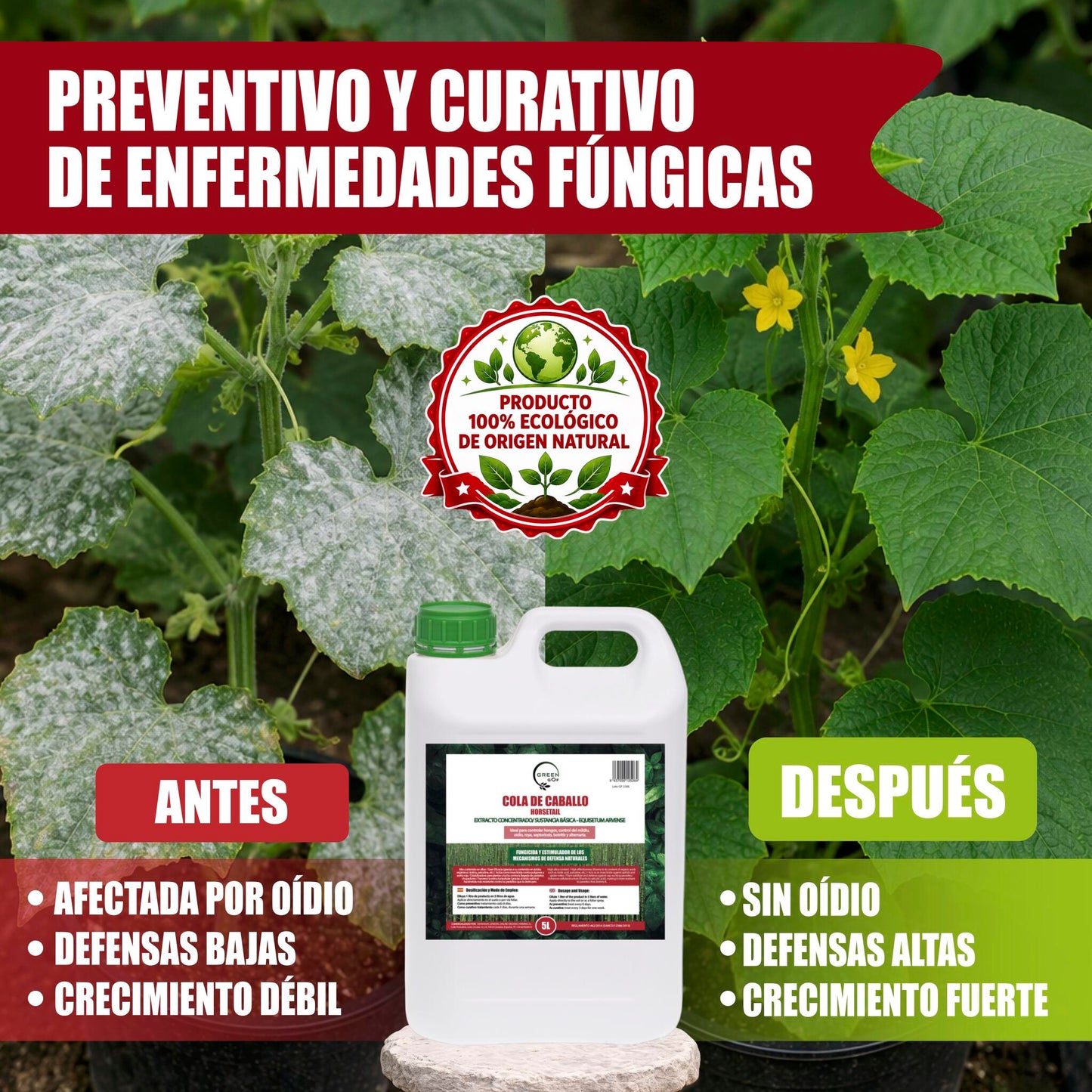 GREEN GOF Cola De Caballo,5L. Fungicida, Bioestimulante, Orgánico y 100% Natural. Preventivo y Curativo._5