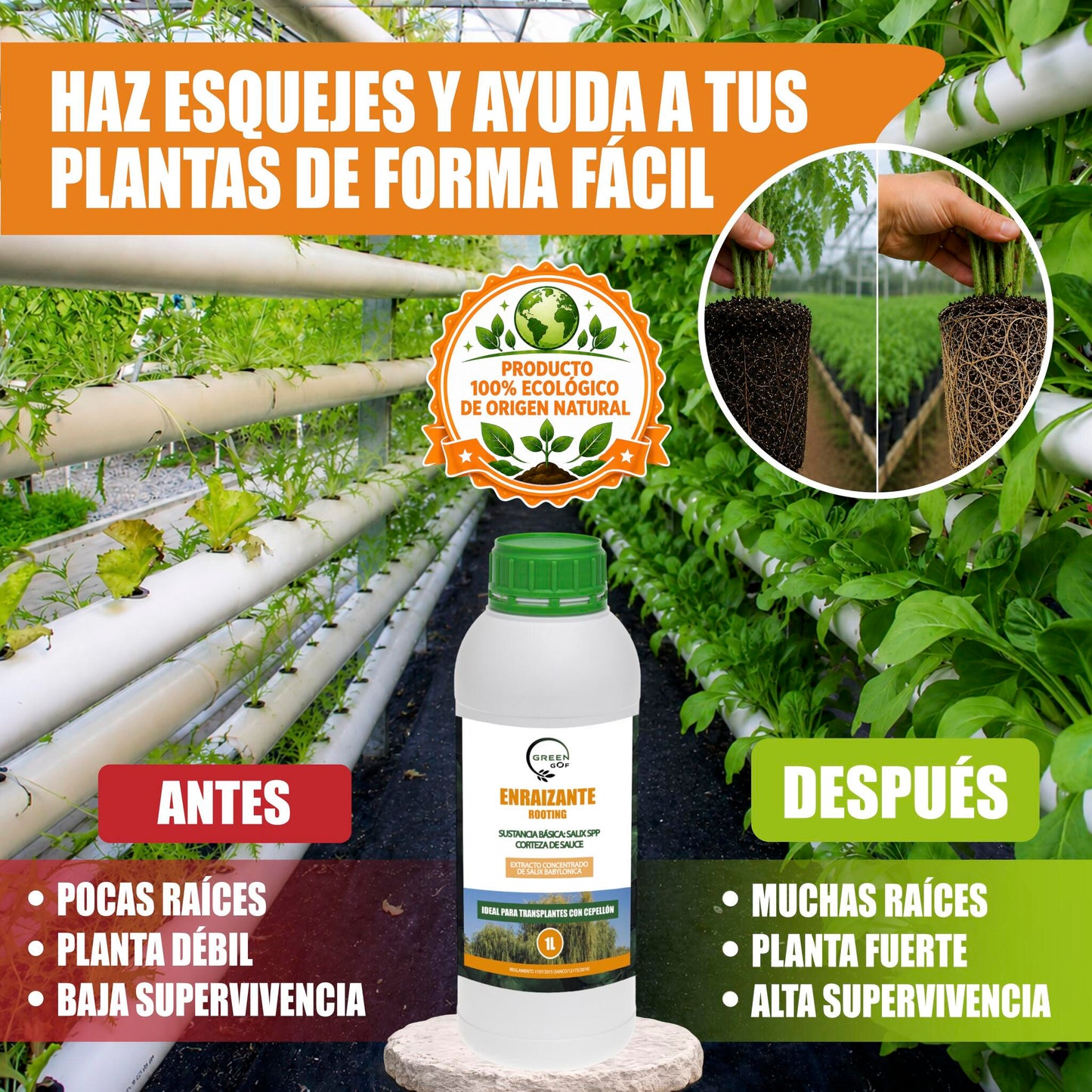 GREEN GOF Enraizante Líquido, 1L. Orgánico con Hormonas Naturales. Estimula y Aumenta el Crecimiento de Raíces._5