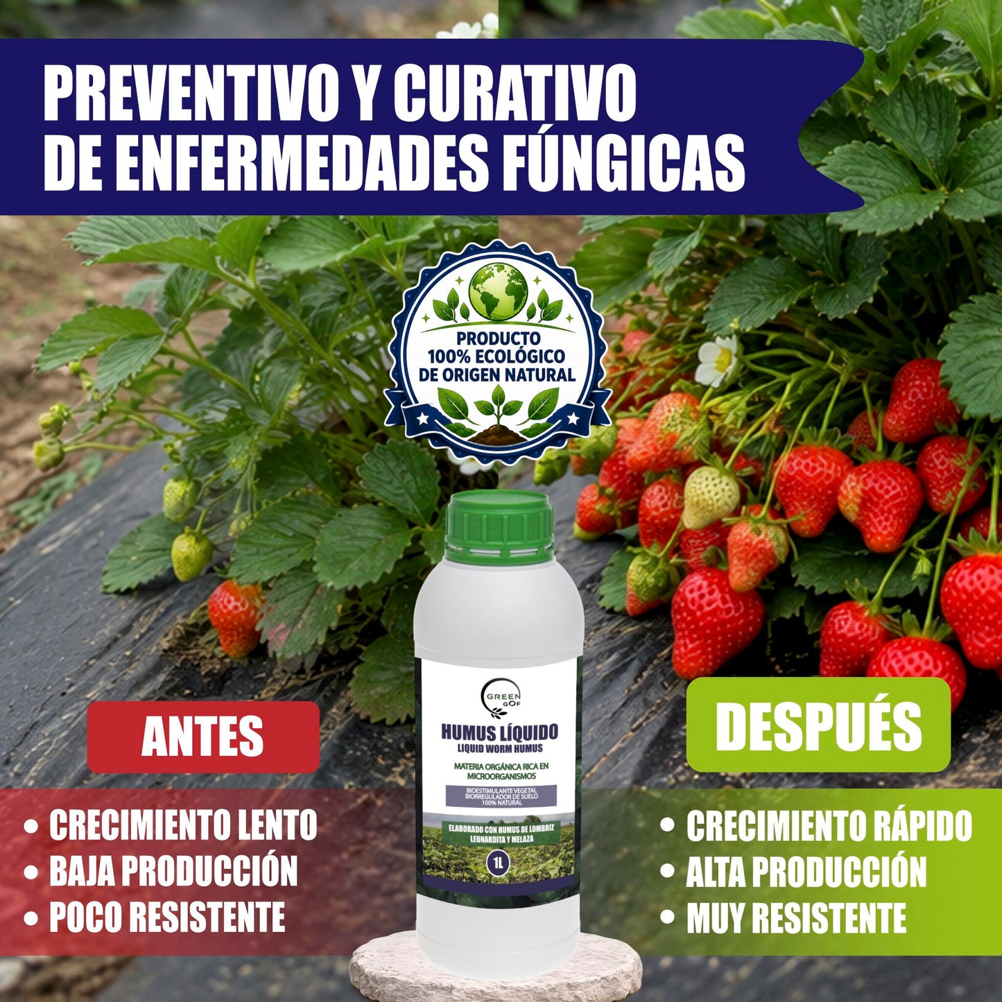 GREEN GOF Humus Líquido De Lombriz Premium 1l. Enriquecido Con Leonardita Y Melaza. Fertilizante Rico En Microorganismos_5