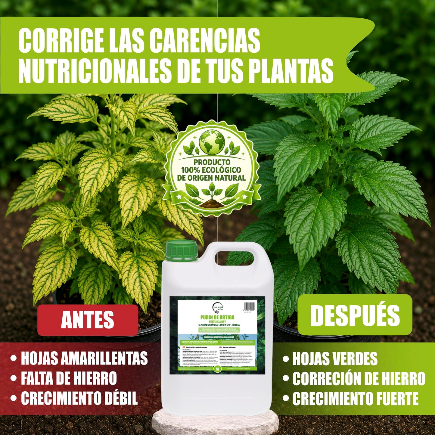GREEN GOF Purin De Ortiga, 5L. Insecticida, Fungicida, Acaricida. Orgánico y 100% Natural. Curativo y Preventivo._5