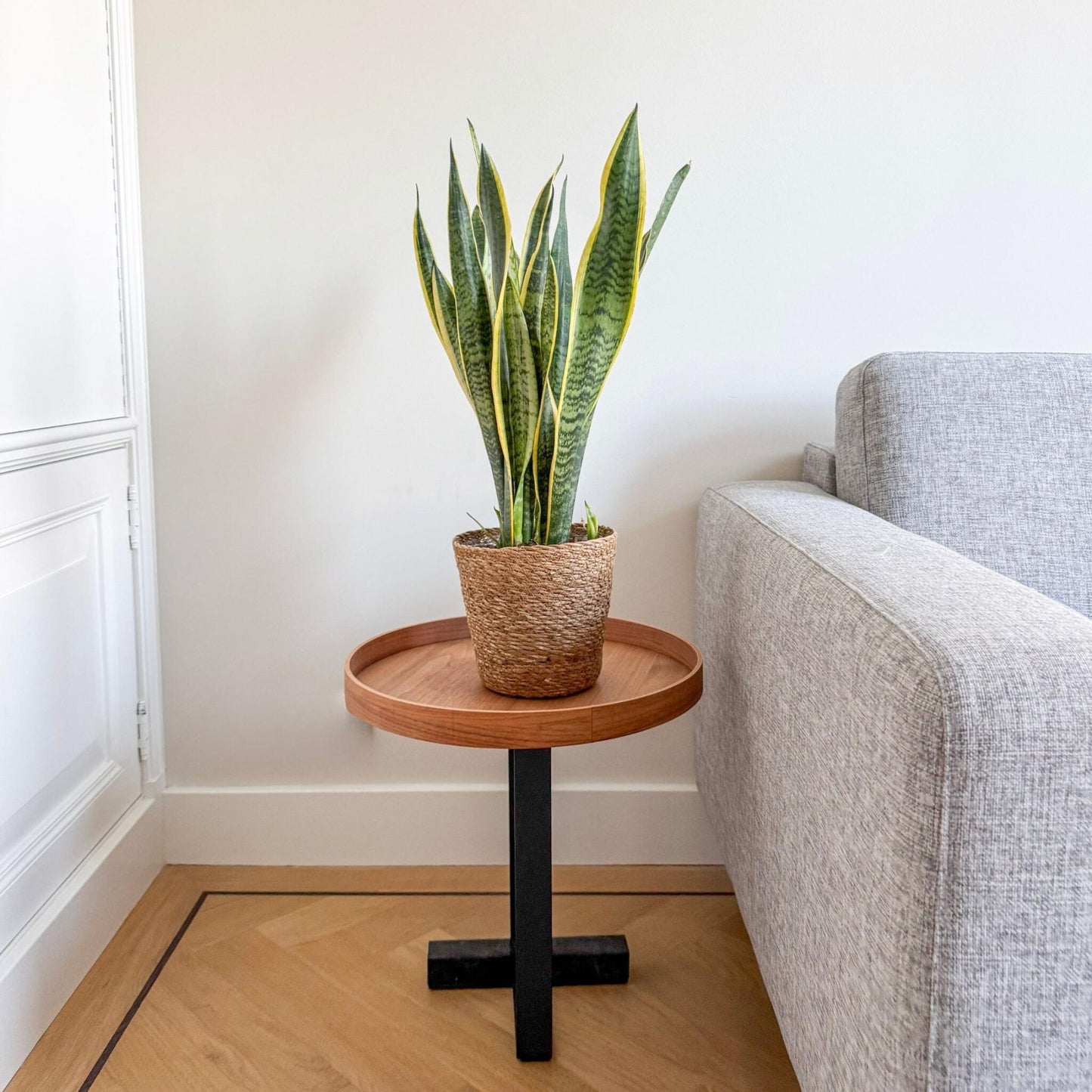 Lengua De Suegra - Sansevieria Laurentii Incluye Cesta - Altura 60-70cm - ⌀17cm_4