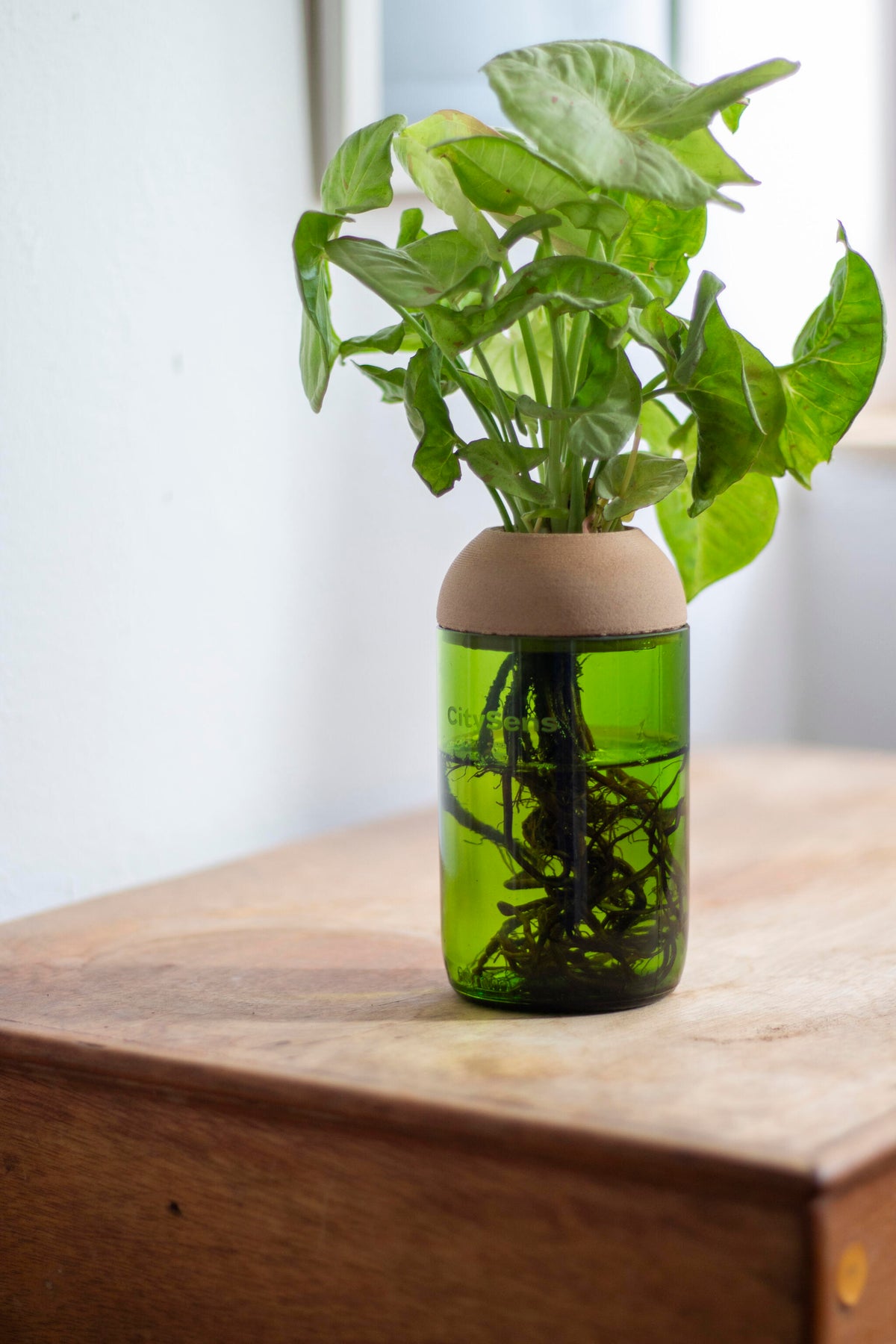 Macetero Transparente Citysens Con Planta Y Soporte De Pino – Verde, Vidrio Reutilizado Y Biofilamento De Madera 3d_3