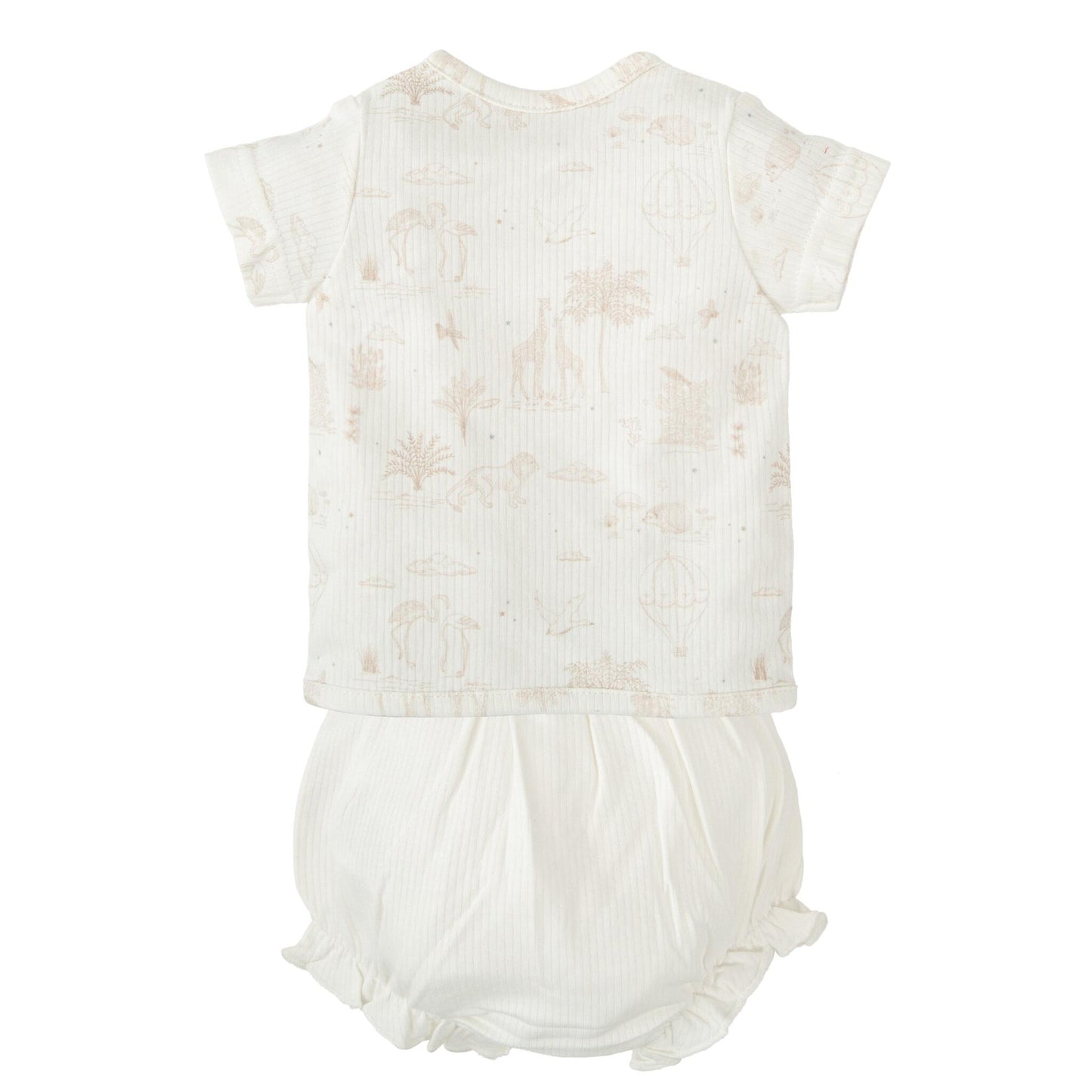 Noe Conjunto Jubón Y Ranita Primera Puesta_0