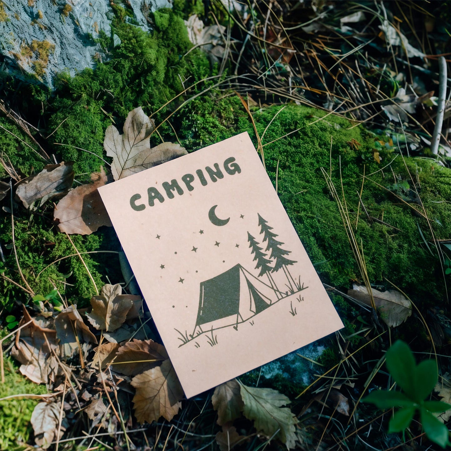 Pack De 3 Postales Plantables – Summer Break Collection_5
