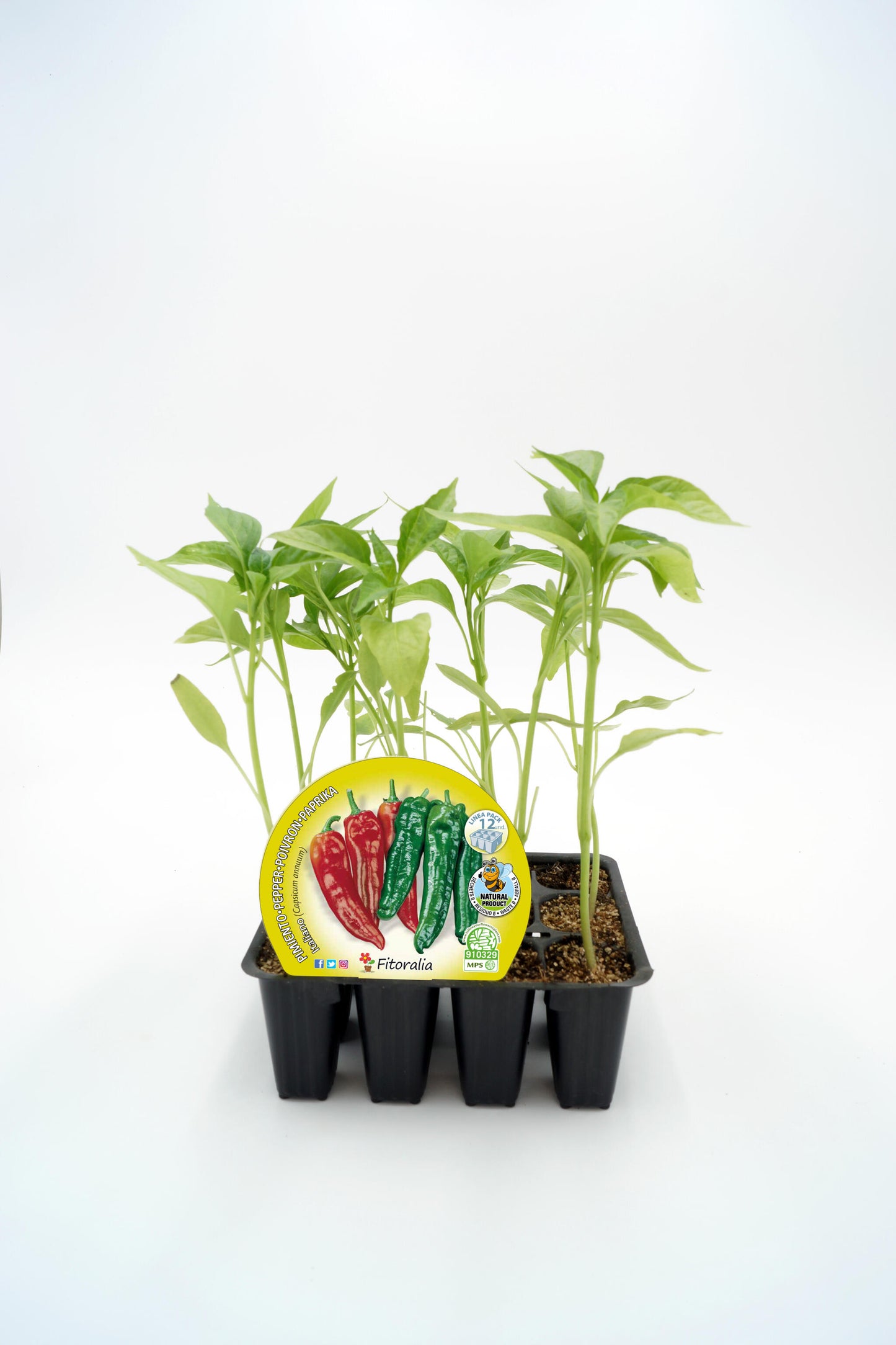 Pack Plantones Pimiento Italiano 12 Ud. Natural - Fitoralia_0