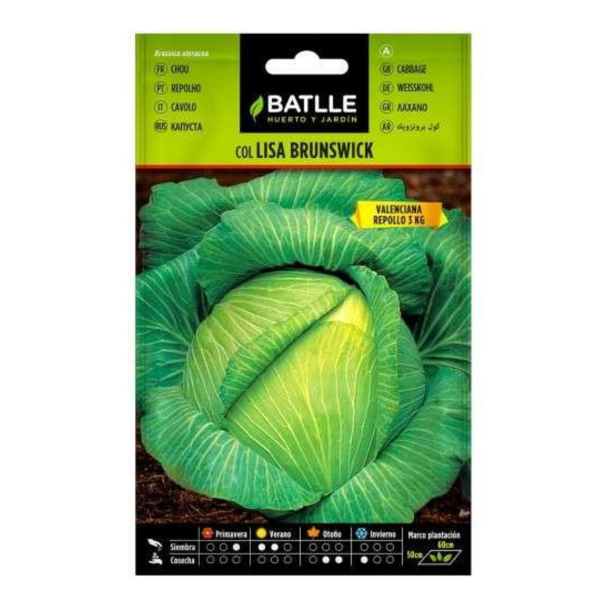 Sementes de couve Batlle Brunswick (Valenciana)