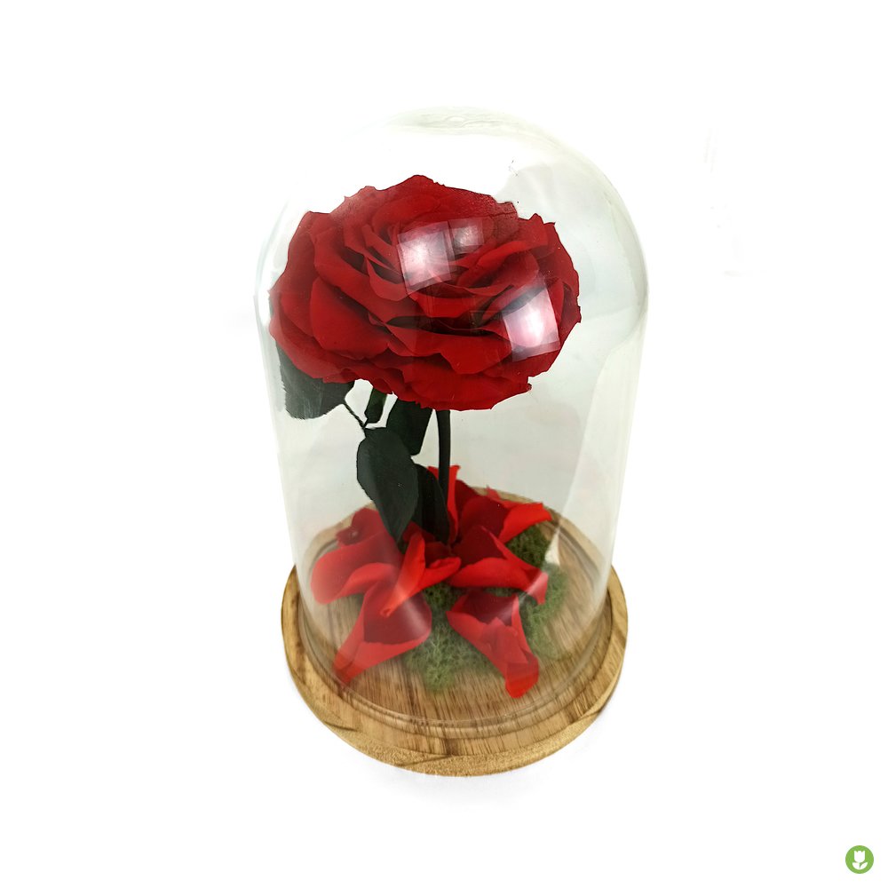 Mundo Eterno Rosa En Cúpula King Rojo 25x17cm_0