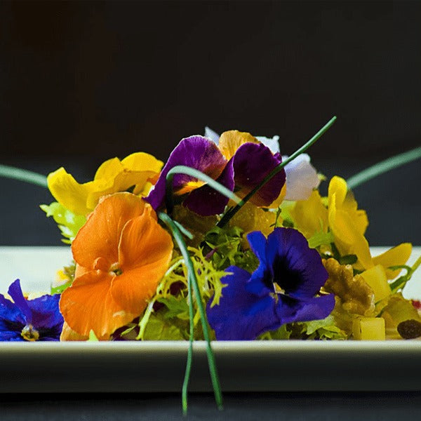 Kit Jardim de Flores Comestíveis: Amores-perfeitos