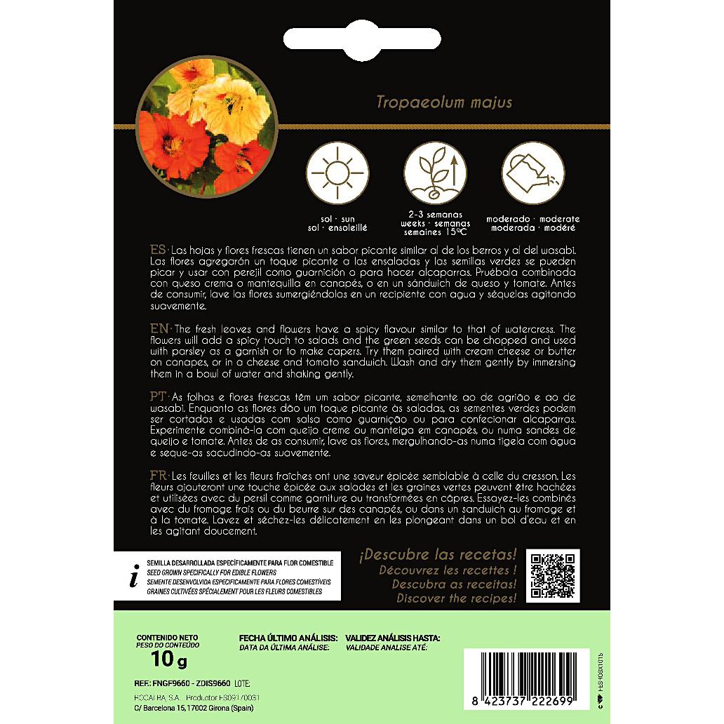 Sementes de flores comestíveis de Nasturtium Rocalba