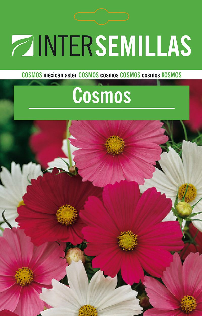 Sobre De Semillas De Cosmos_0