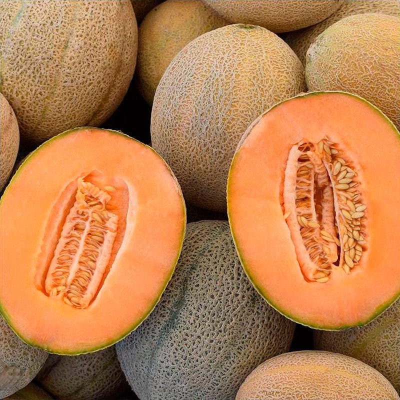 Semillas Melón Retato Degli Ortolani Ecológicas_0
