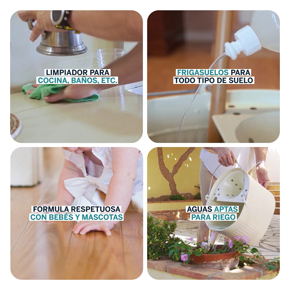 Produto de Limpeza Doméstico Concentrado ECO Biobel 20 L