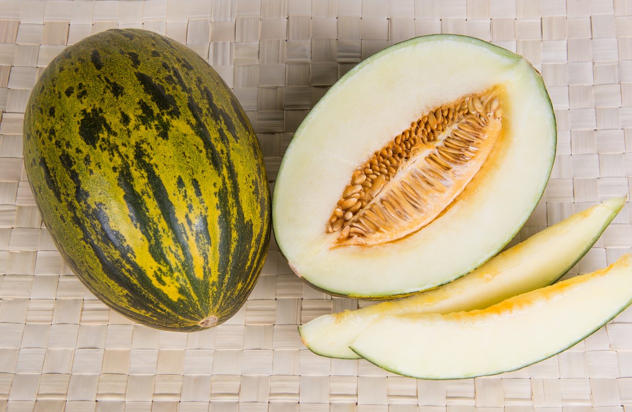 Semillas De Melón Piel De Sapo Ecológicas_0