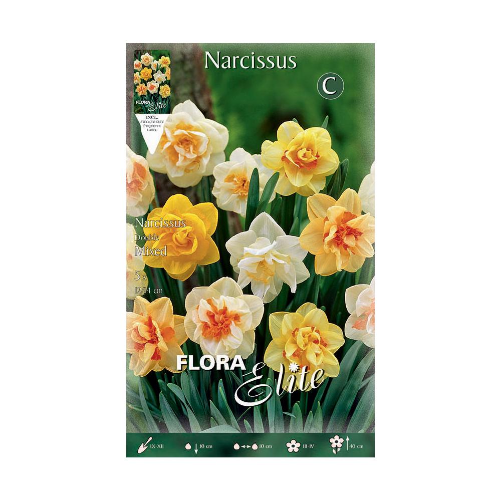 Narcissus Crown Mix 5 unidades Bulbos