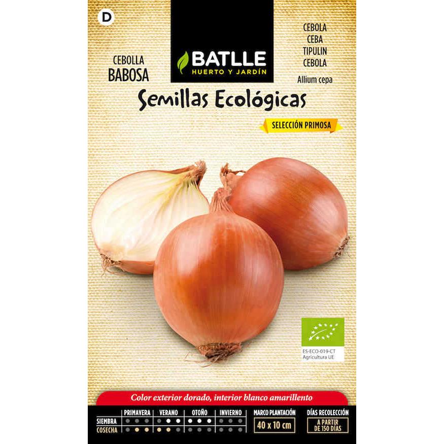Sementes de cebola lesma selecionadas Primosa orgânicas Batlle