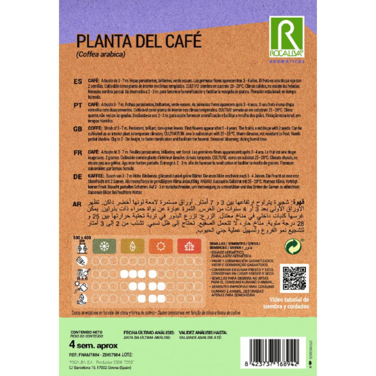 Sementes de Planta de Café