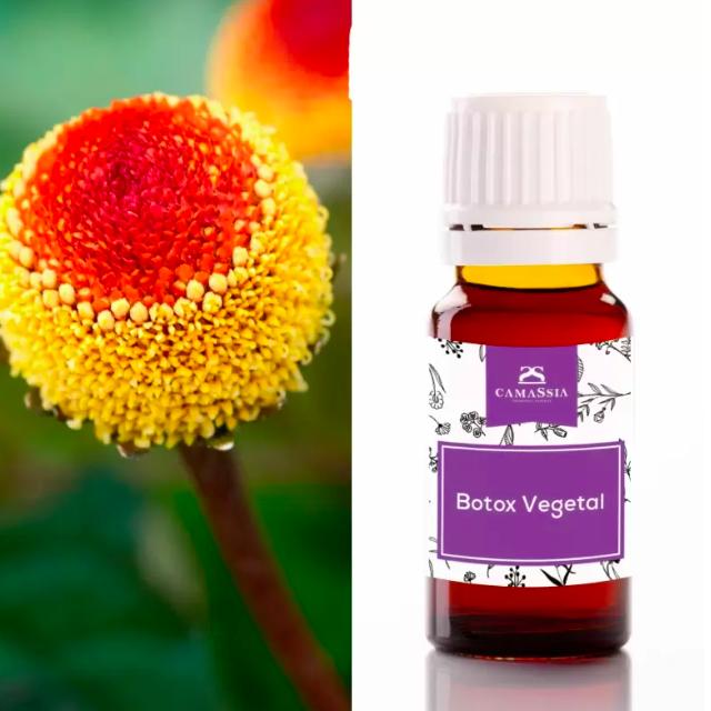 Botox Vegetal Princípio Ativo, 10ml. Camassia