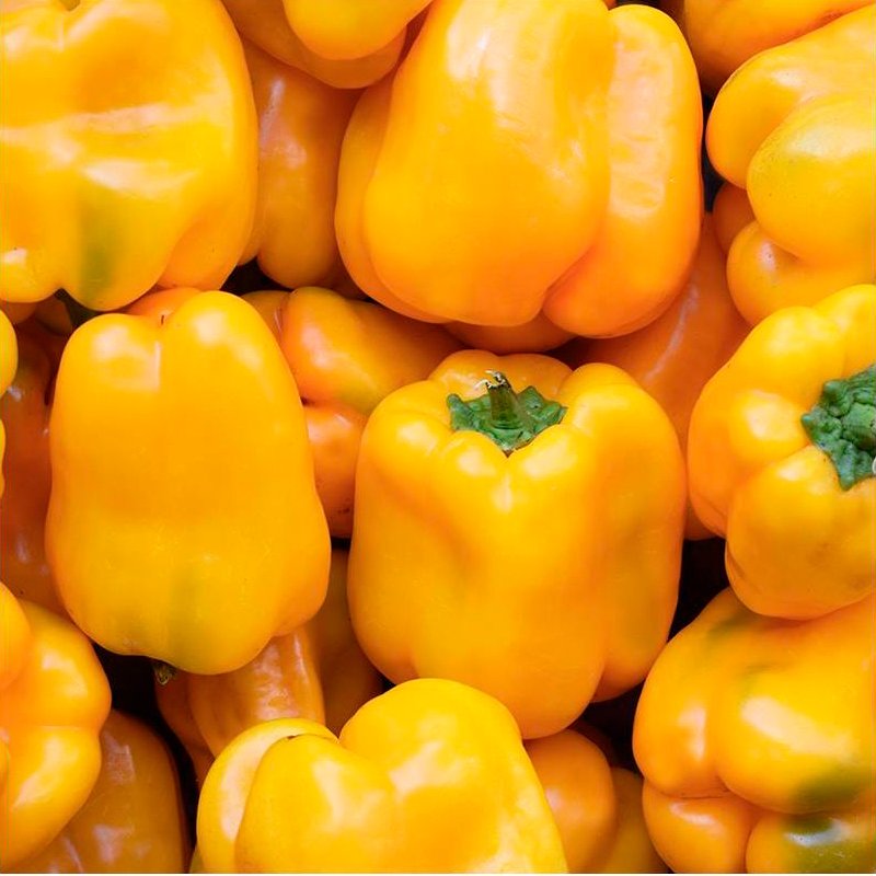 Semillas Pimiento Amarillo Quadrato D ́asti Ecológicas Biodinámicas Demeter