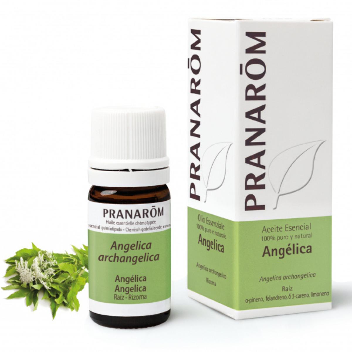 Óleo essencial de angélica, Pranarom 5 ml