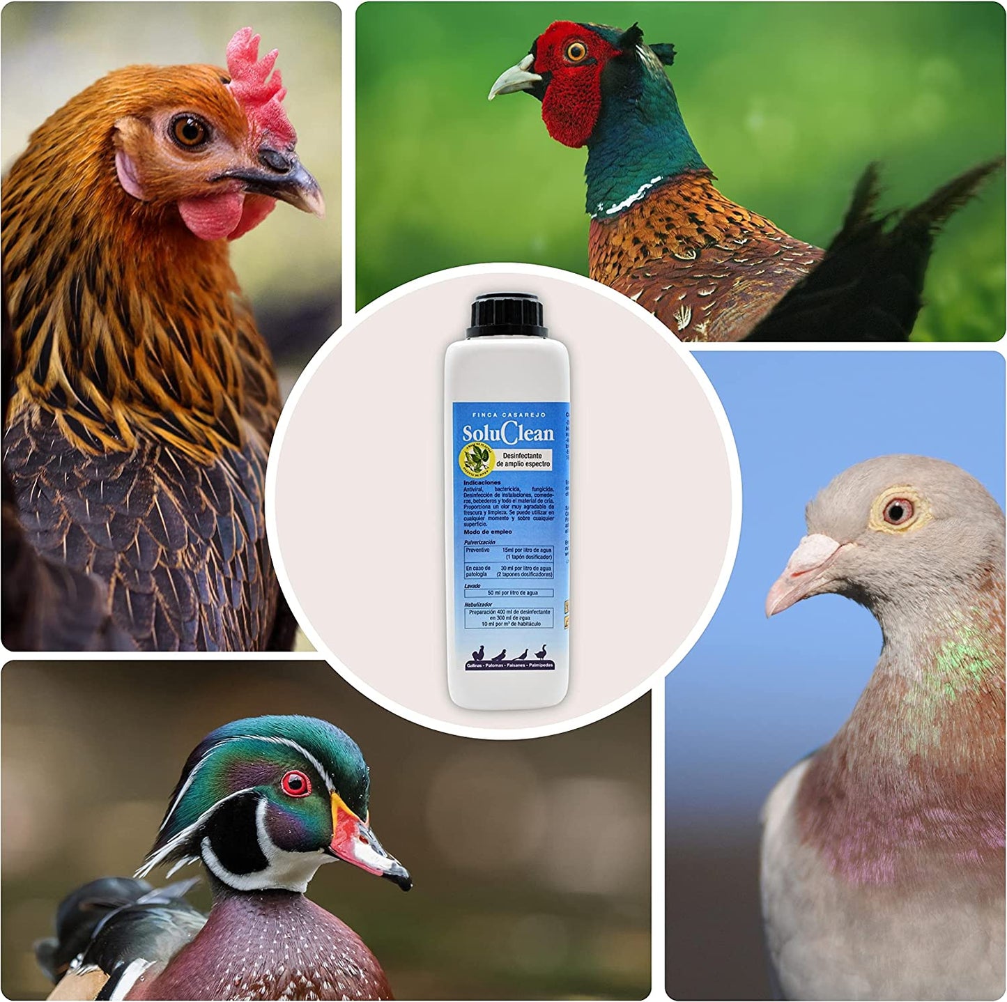 Soluclean - Limpieza De Gallineros, Perreras, Comederos Y Material - Disolver Y Limpiar Las Instalaciones (500 Ml)_3