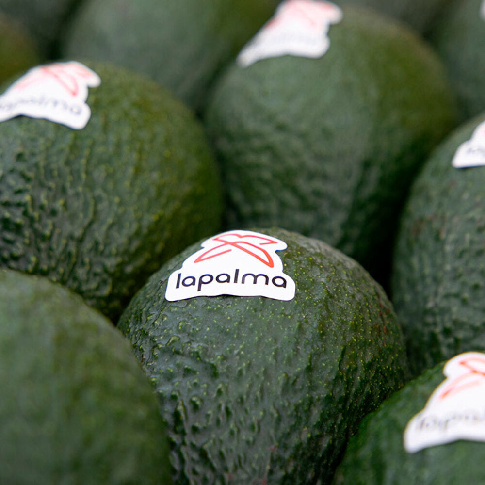 Aguacate Lamb Hass 2kg Granada La Palma_5
