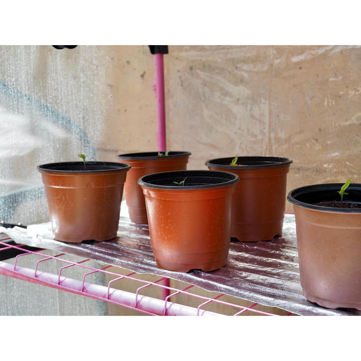 Manta térmica 33x65cm 50w