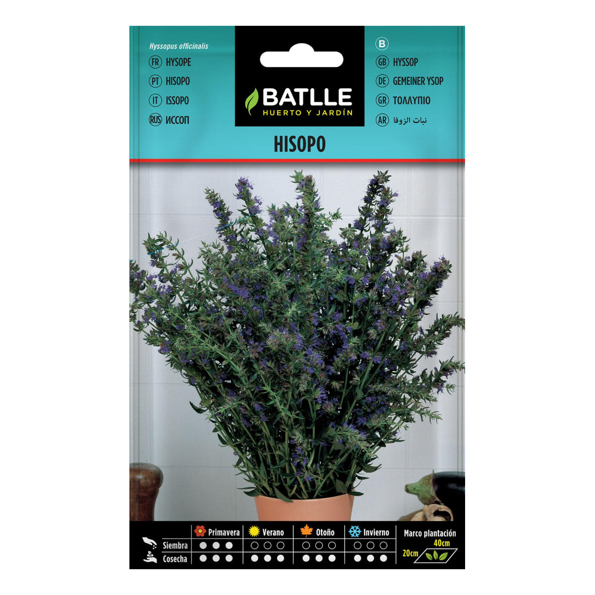 Sementes de hissopo Batlle