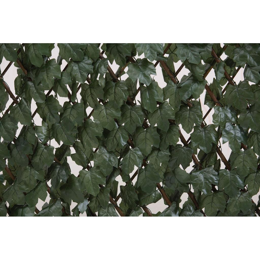 Treliça de vime com folhas 1 x 2