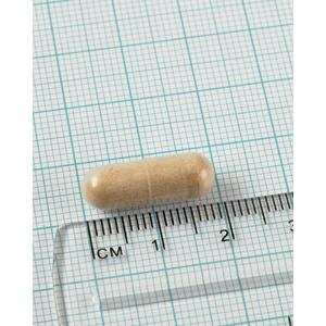 Pycnogenol 60 cápsulas de 40mg