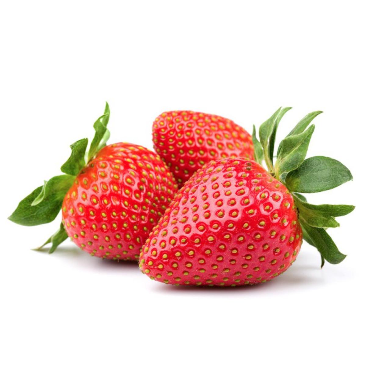 Muda de morangueiro Huelva em vaso de 11 cm