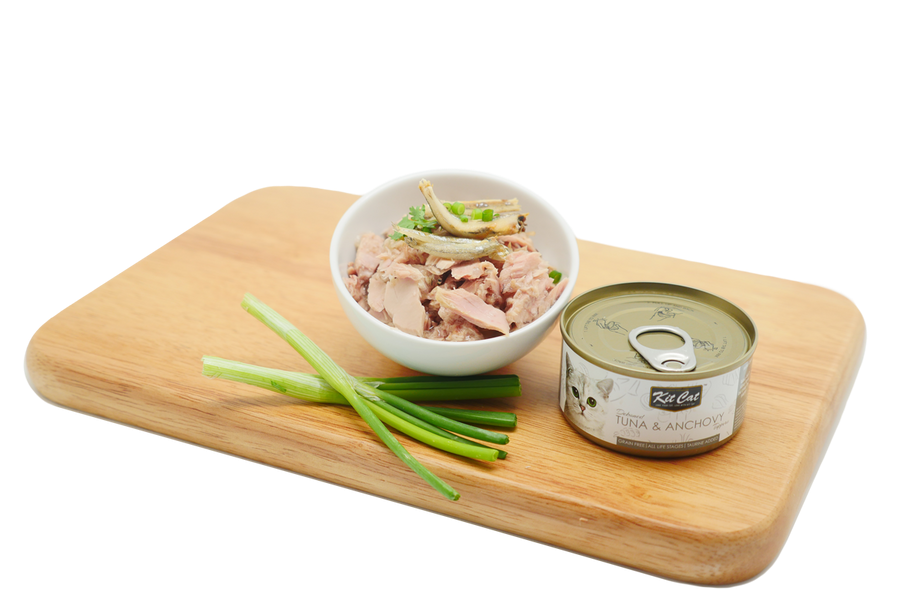 Kit Cat Can Toppers - Atum e Anchovas 80 g Ração húmida para gatos