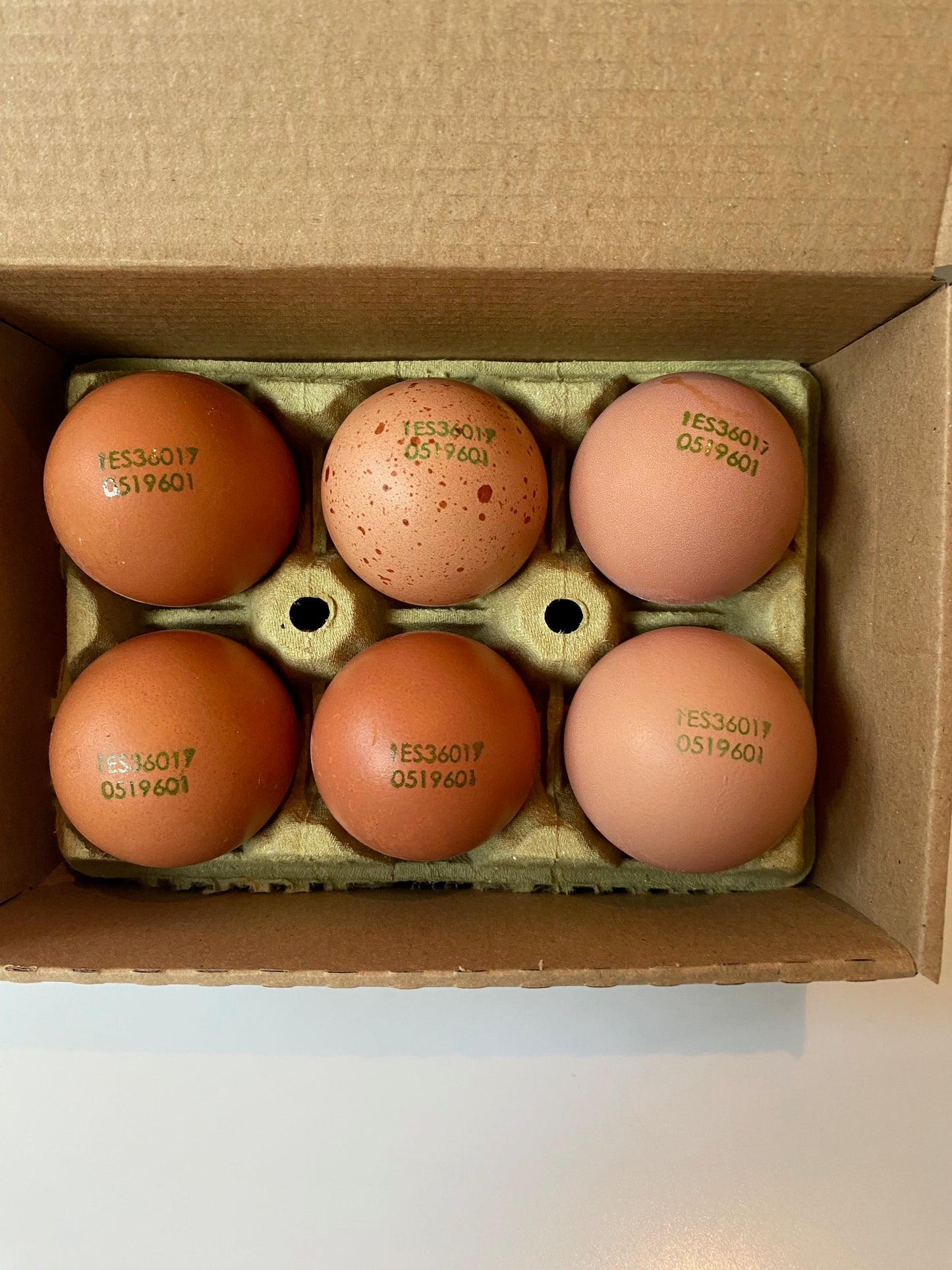 Pack 8 Estuches De 1/2 Docena De Huevos De Gallinas Criadas Al Aire Libre_0