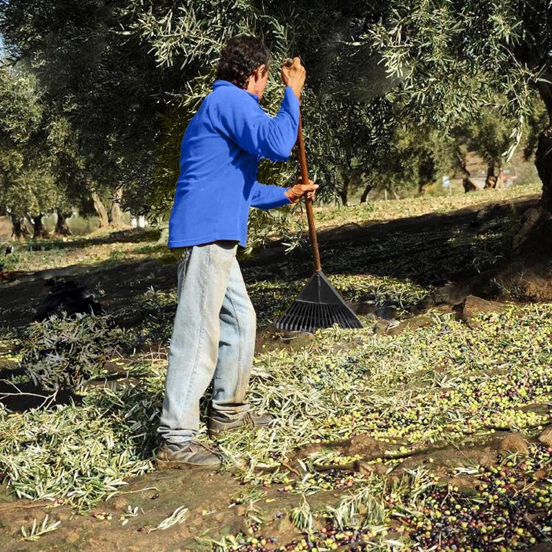 Rastrillo Plastico Trapezoidal Color Negro 32 Dientes_2