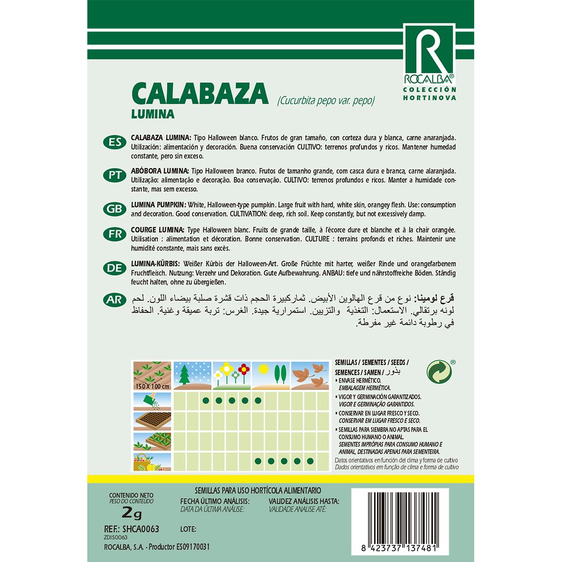 Sementes de abóbora Lumina